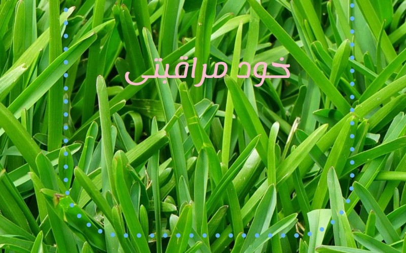 بکارگیری روانشناس و همچنین همکار دارای شرایط لازم در شیراز برای مشارکت در برگزاری رویداد روانشناسی