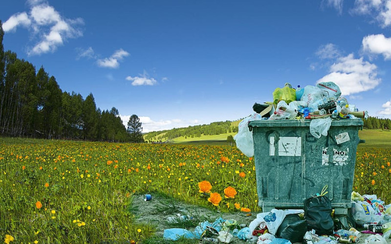 کمک برای زیبا سازی وطن