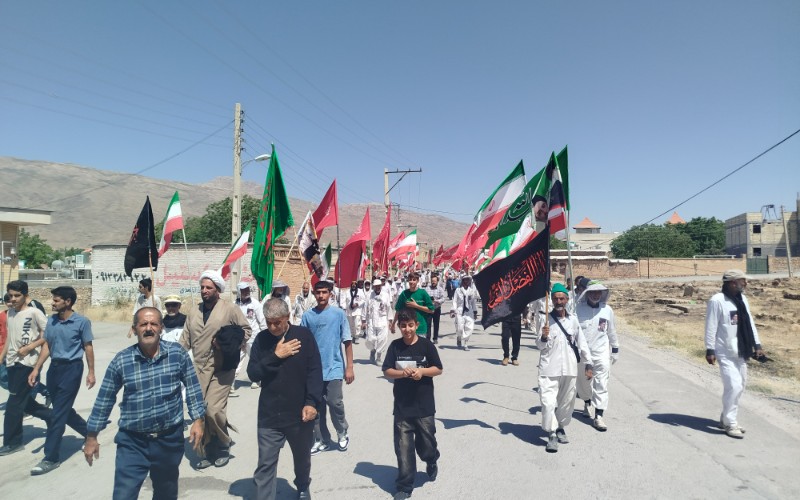 کمک در پذیرای از زائرین پیاده کربلا