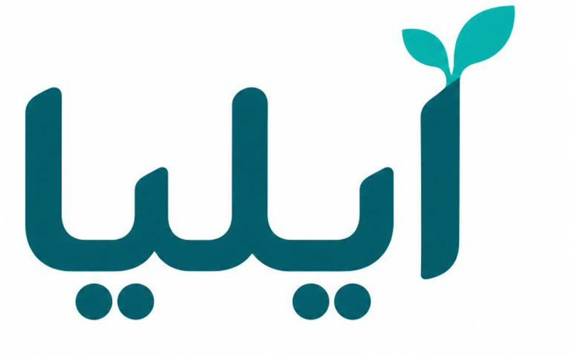 حضور فعال نوجوانان در ایلیا